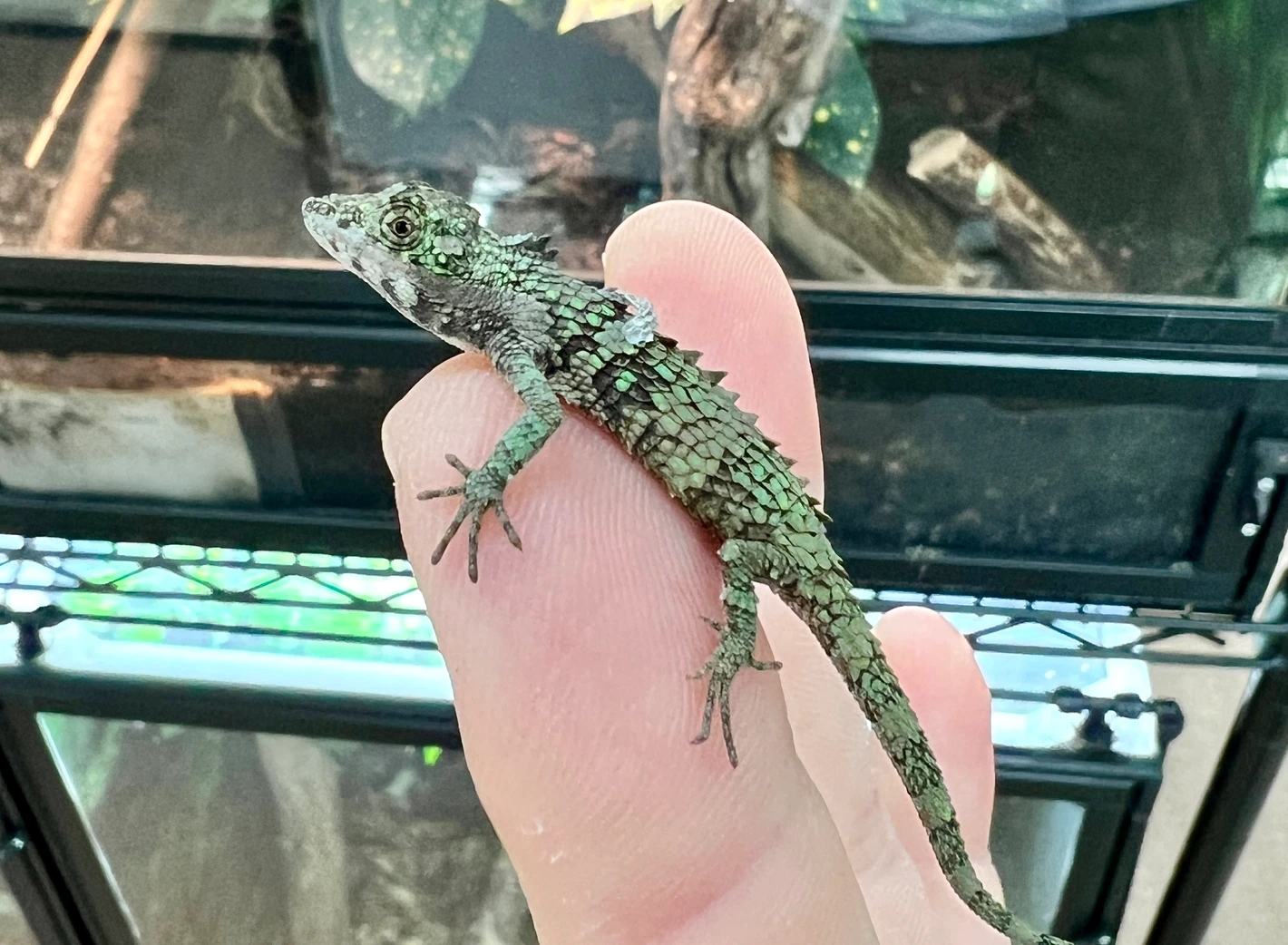 Erkaklar tomonidan mushukni yalash Kotib porno videoda gangbanged